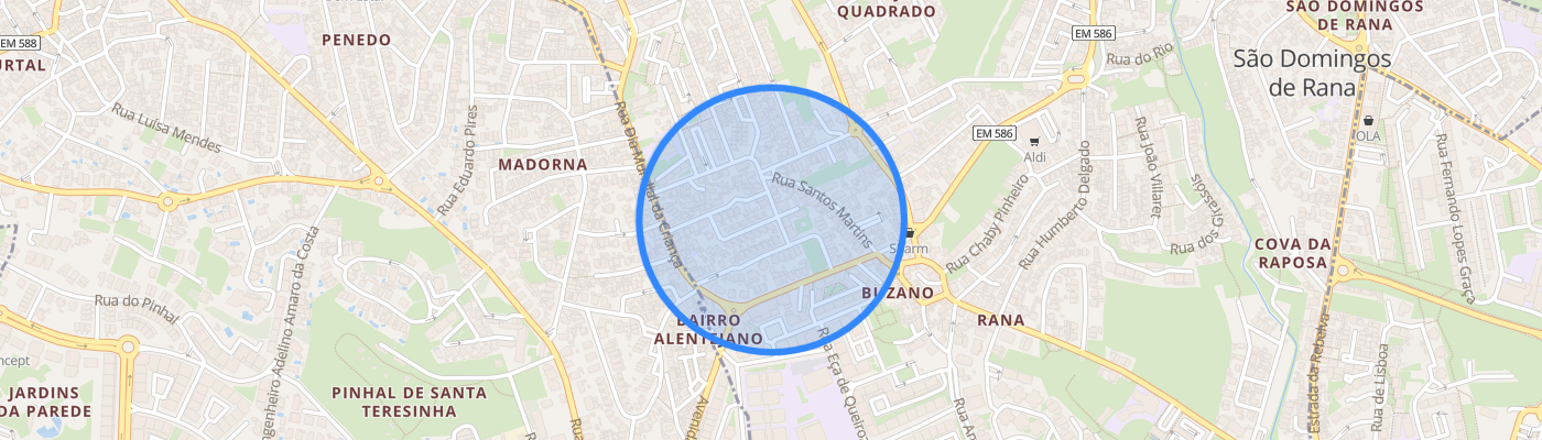 listing-map-picture
