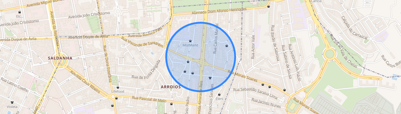 listing-map-picture