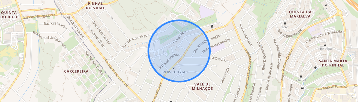 listing-map-picture