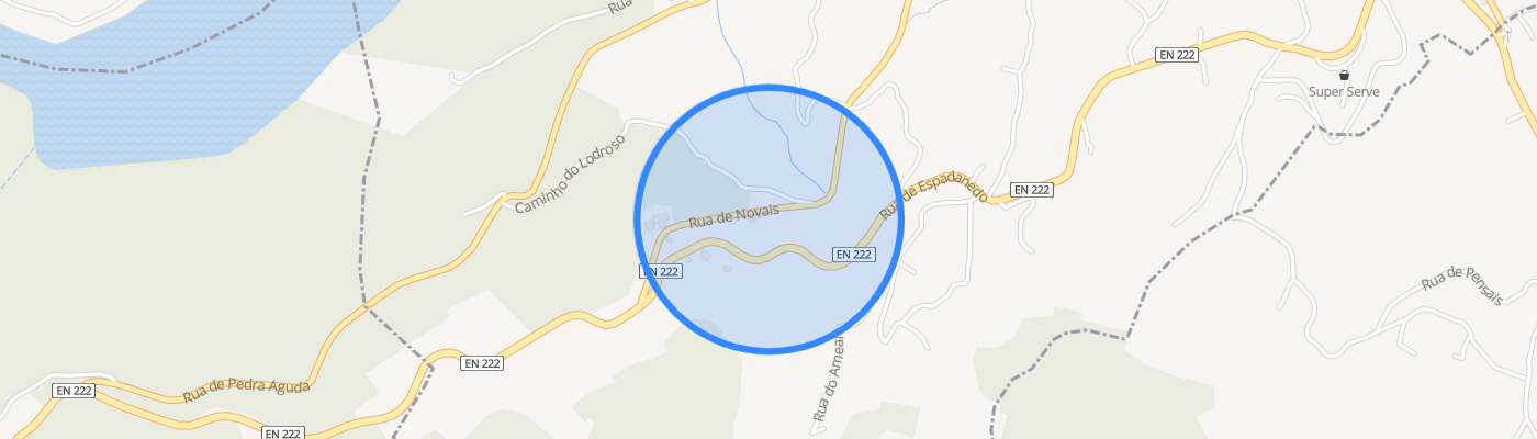 listing-map-picture
