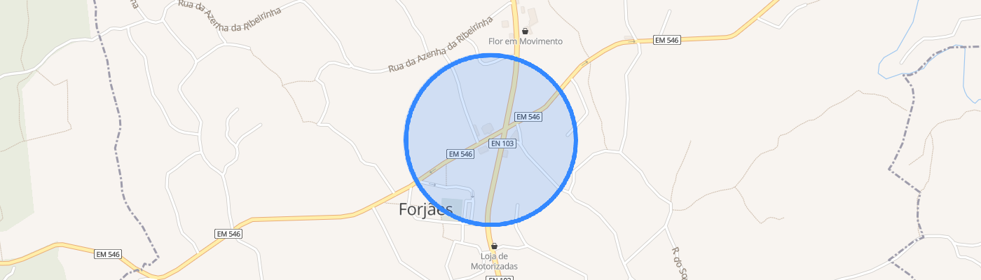 listing-map-picture