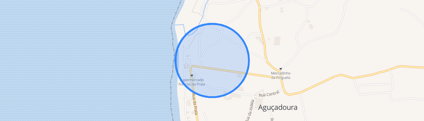 listing-map-picture