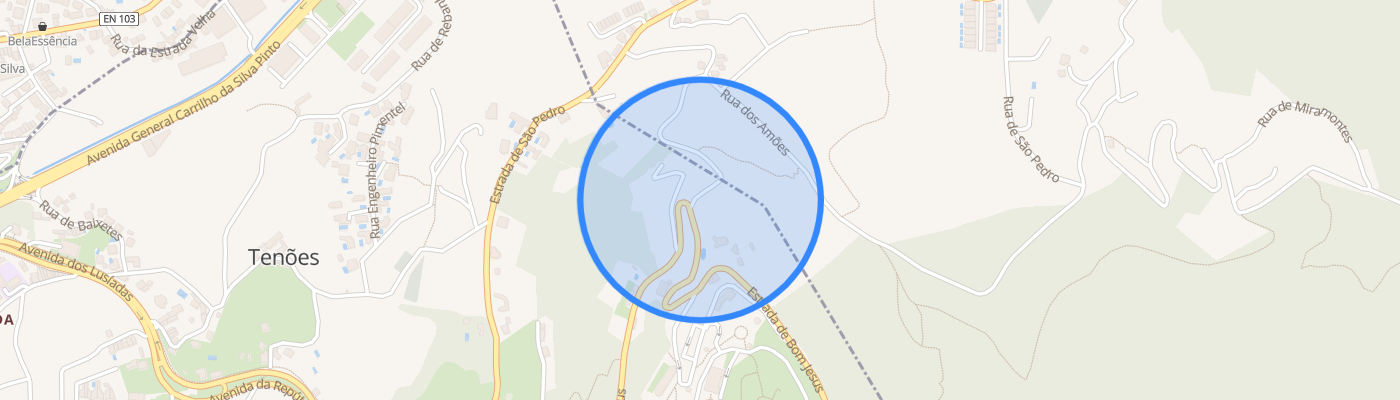 listing-map-picture