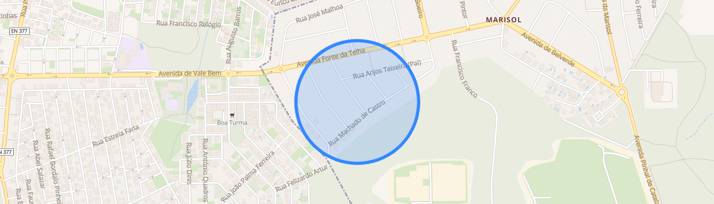 listing-map-picture