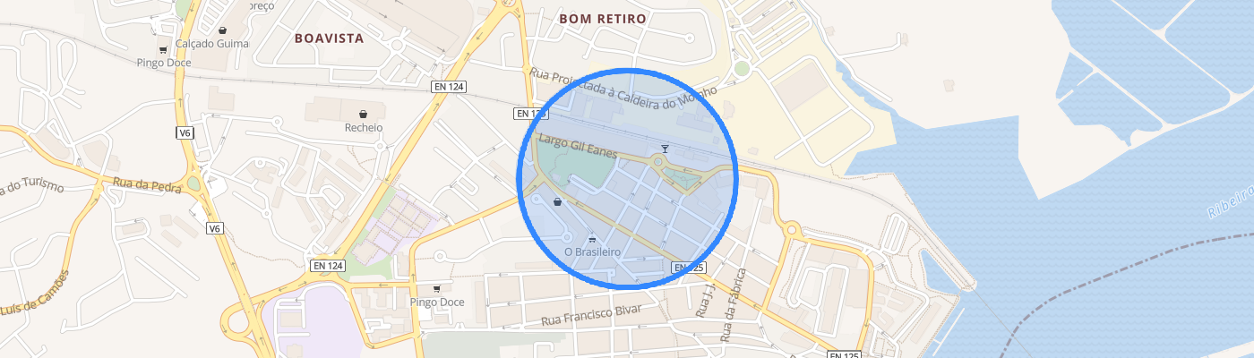 listing-map-picture