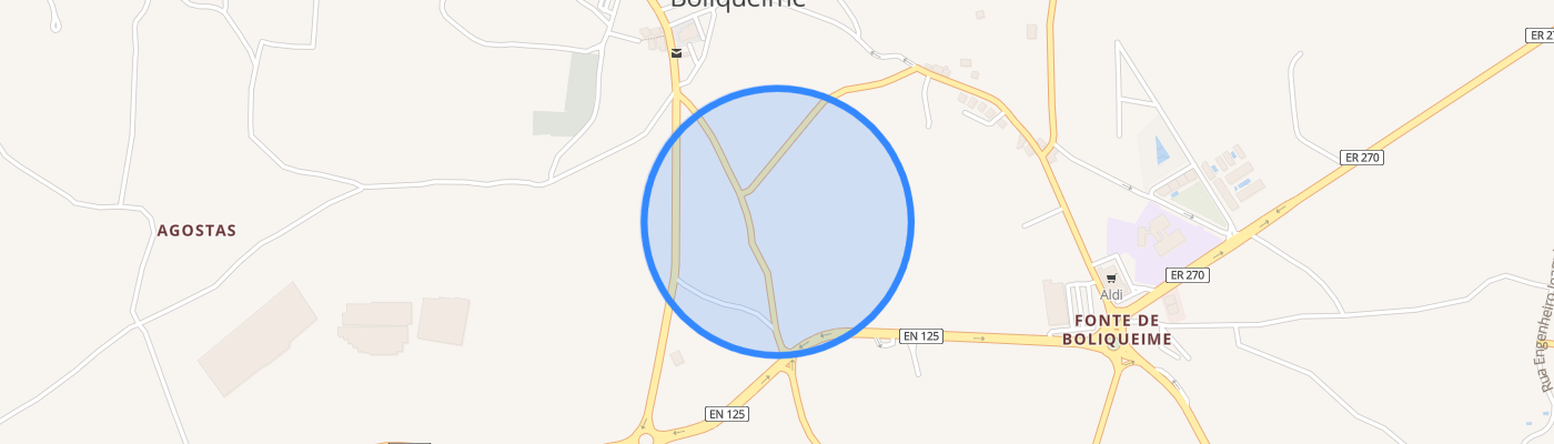 listing-map-picture