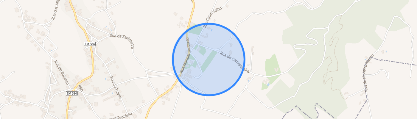 listing-map-picture