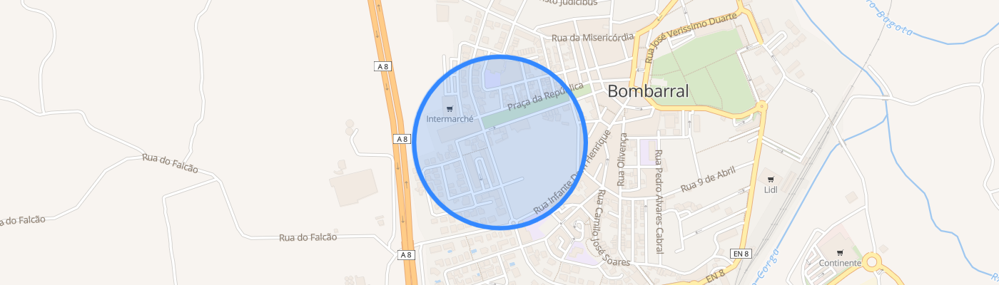 listing-map-picture