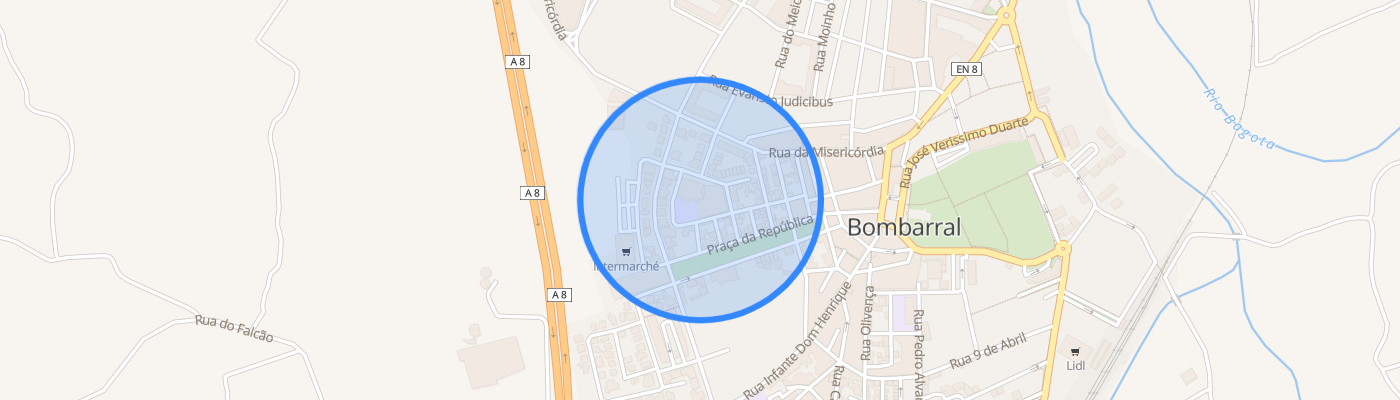 listing-map-picture