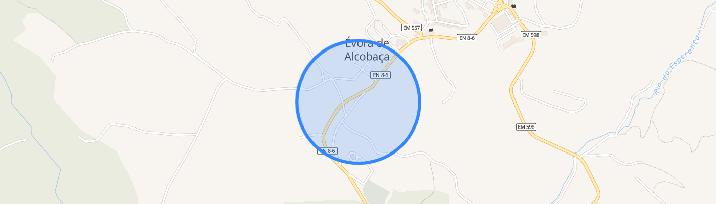 listing-map-picture