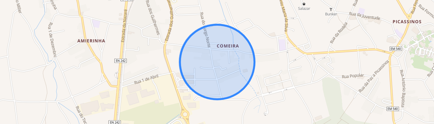 listing-map-picture