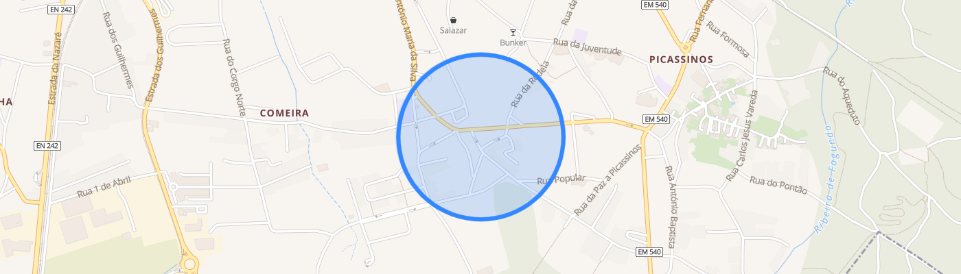 listing-map-picture