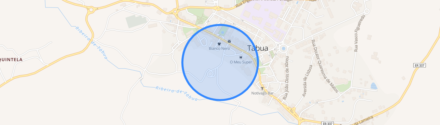 listing-map-picture