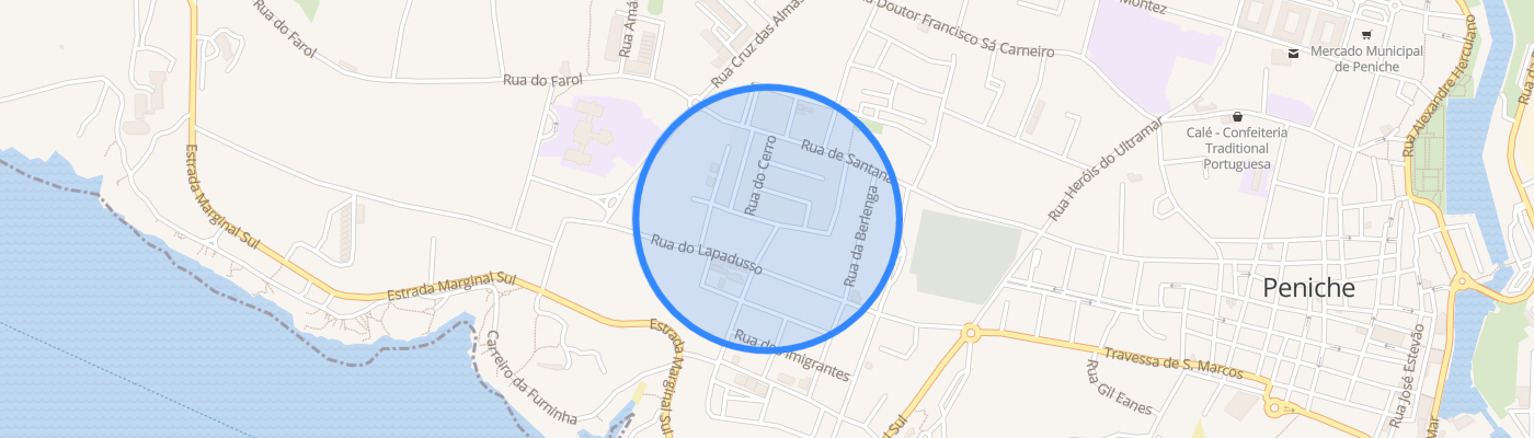 listing-map-picture