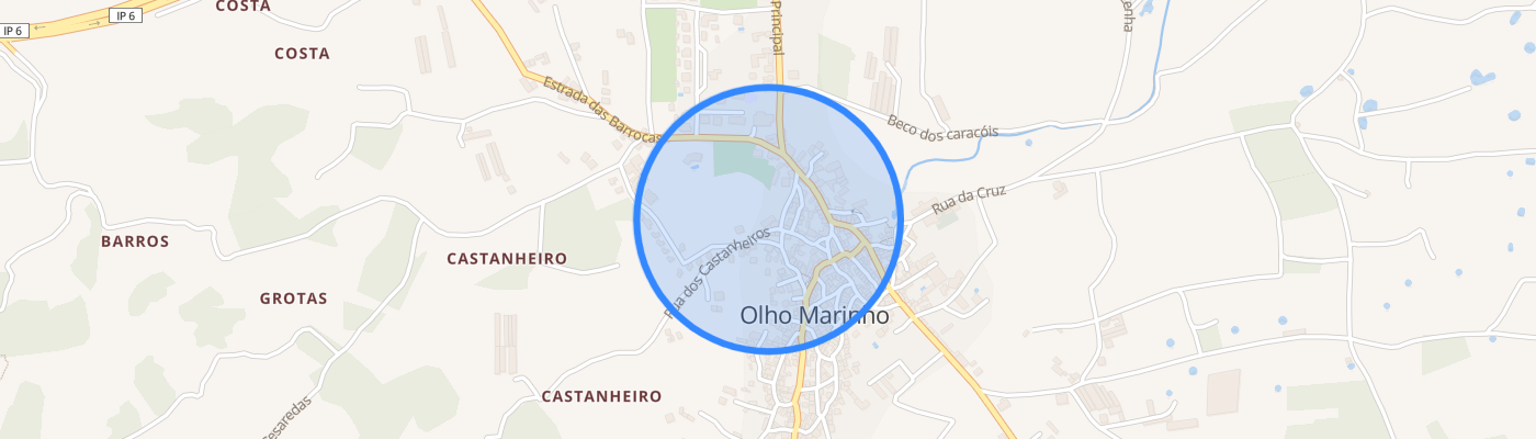 listing-map-picture