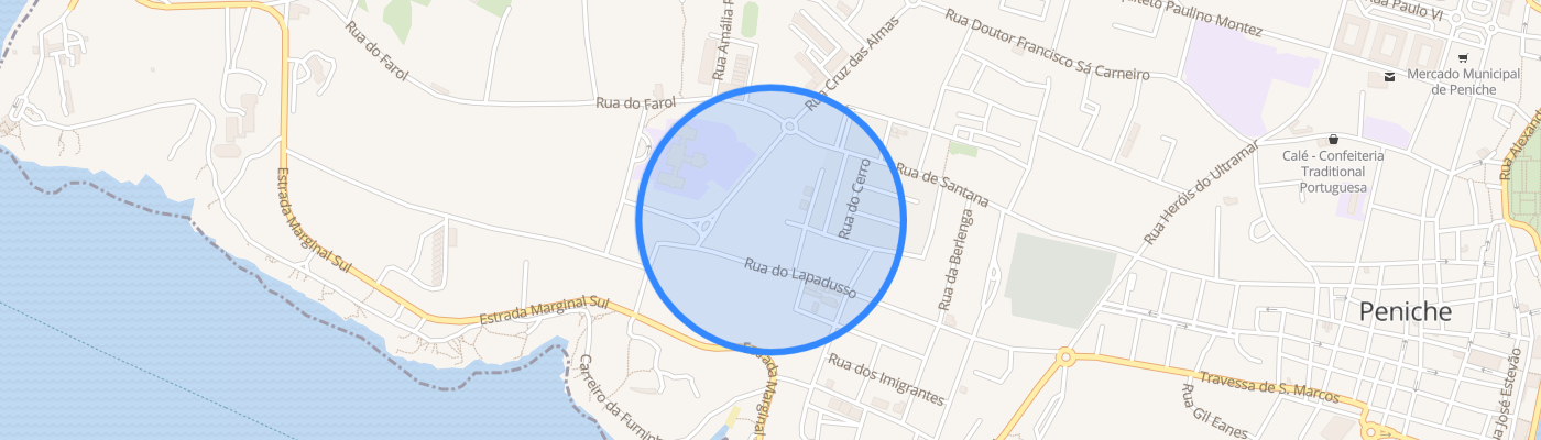 listing-map-picture