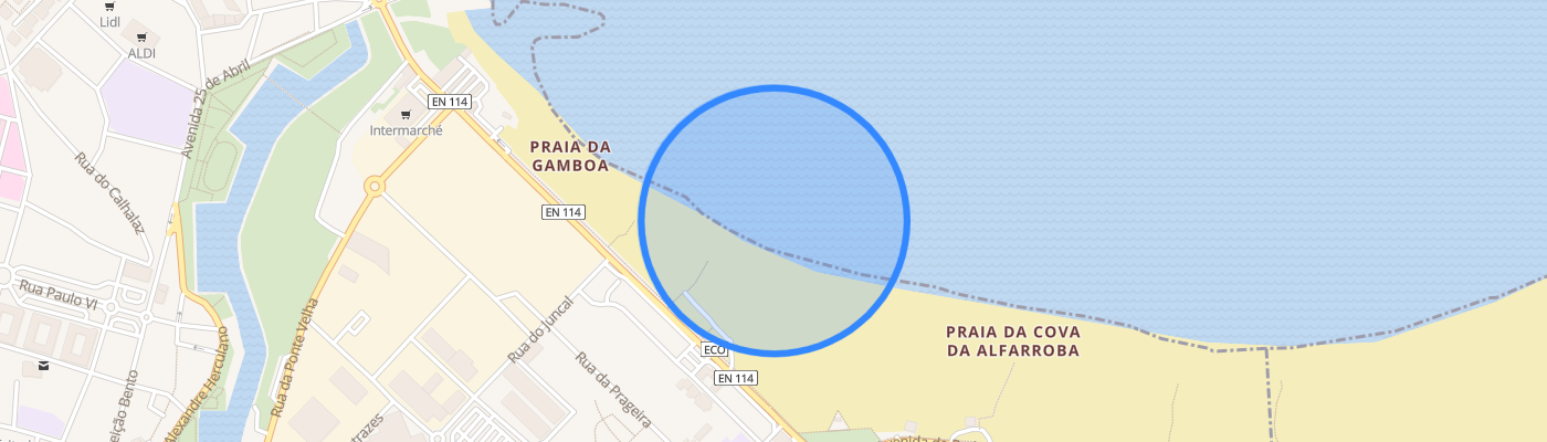 listing-map-picture