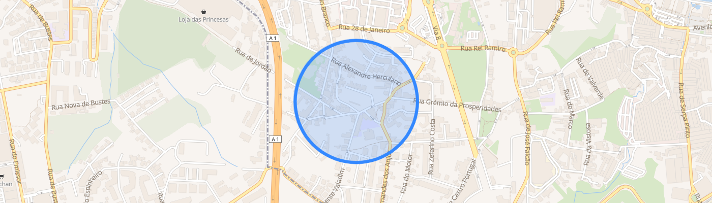 listing-map-picture