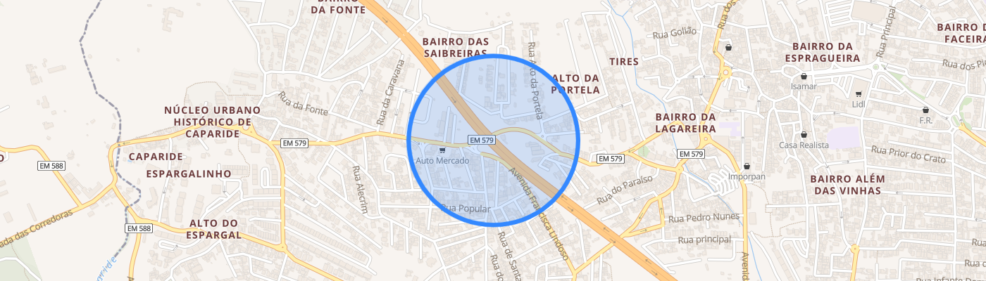 listing-map-picture