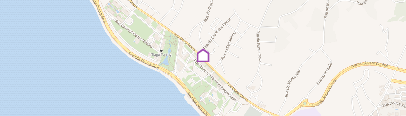 listing-map-picture