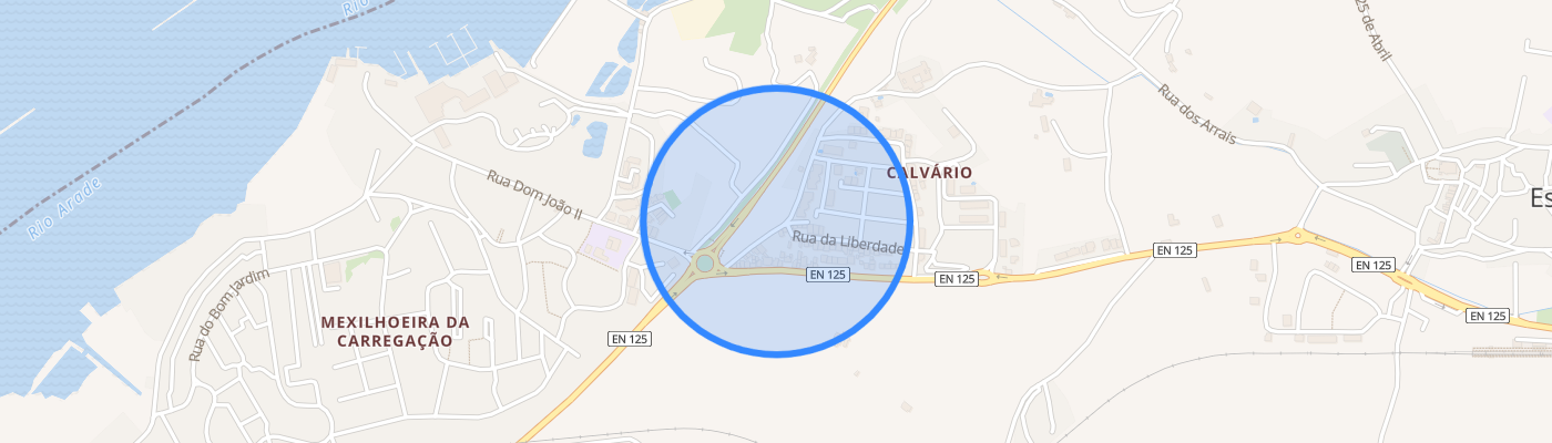 listing-map-picture