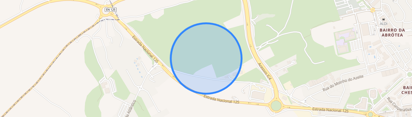 listing-map-picture