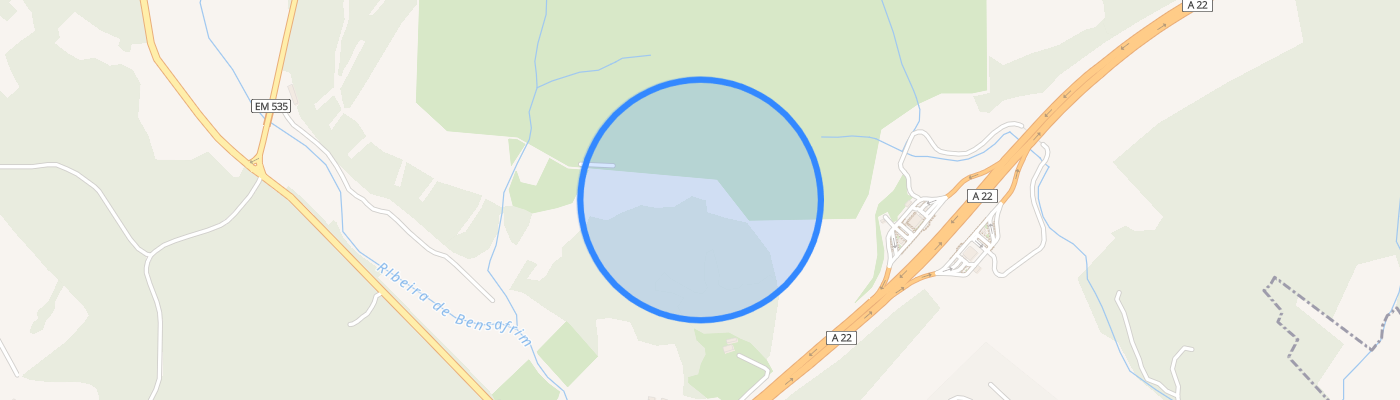 listing-map-picture