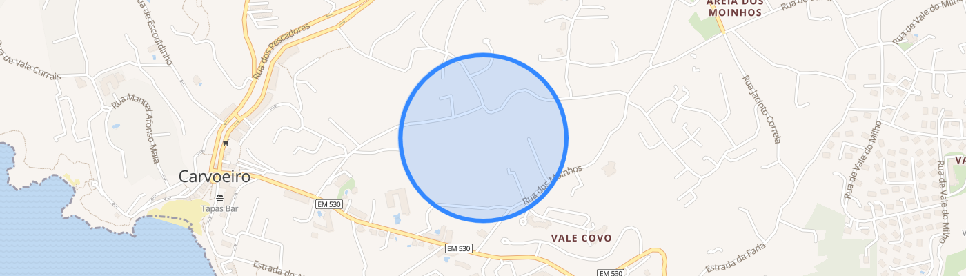 listing-map-picture