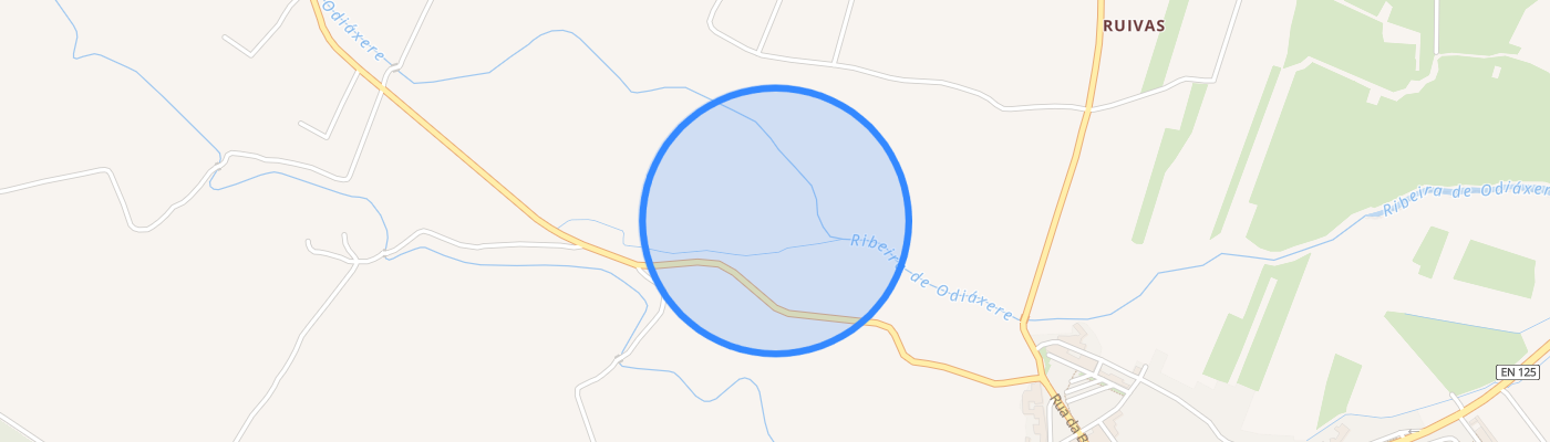 listing-map-picture