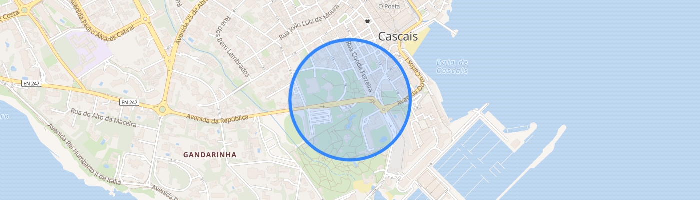 listing-map-picture