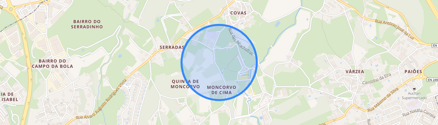 listing-map-picture