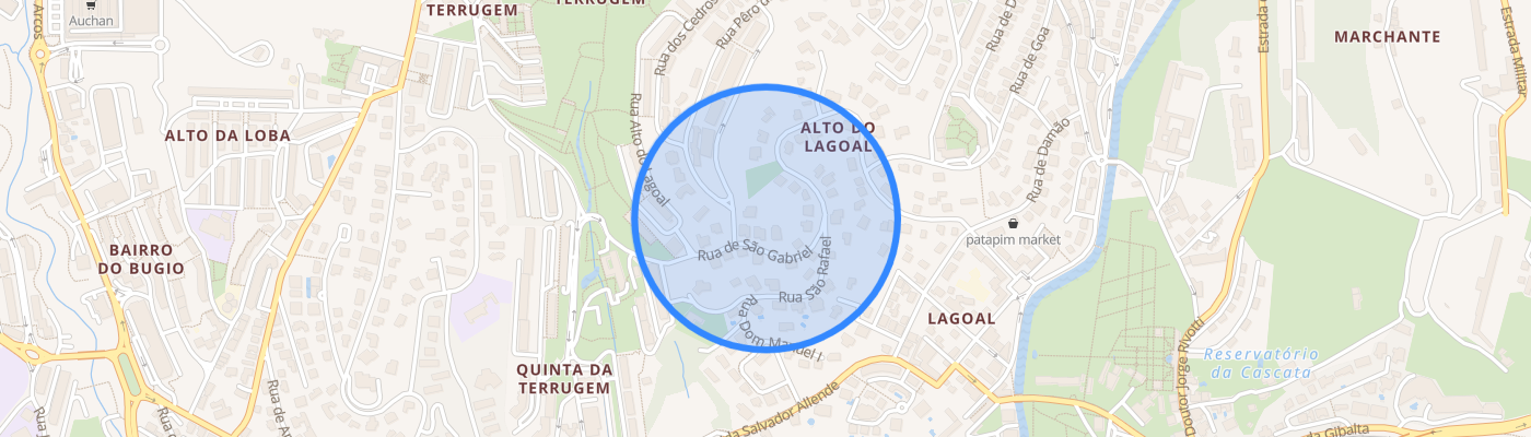 listing-map-picture