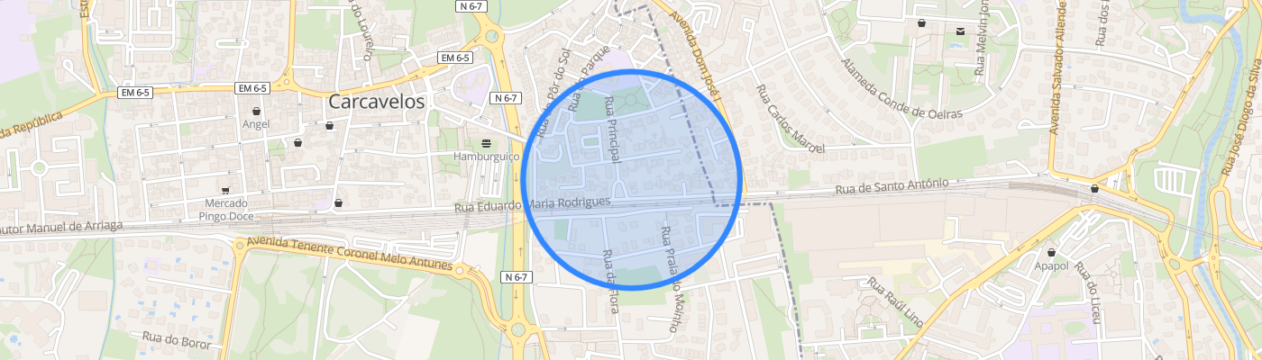 listing-map-picture