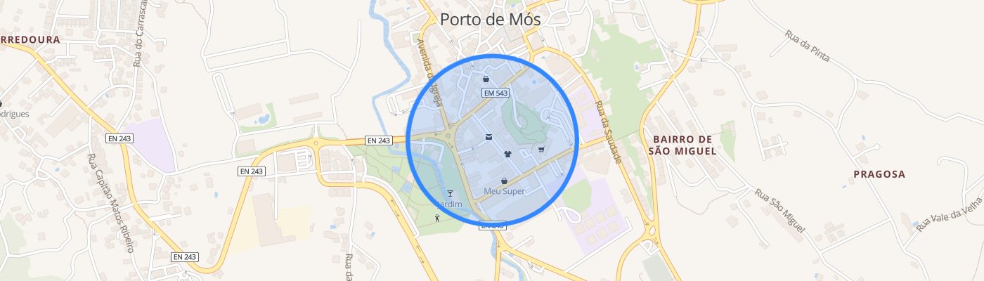 listing-map-picture