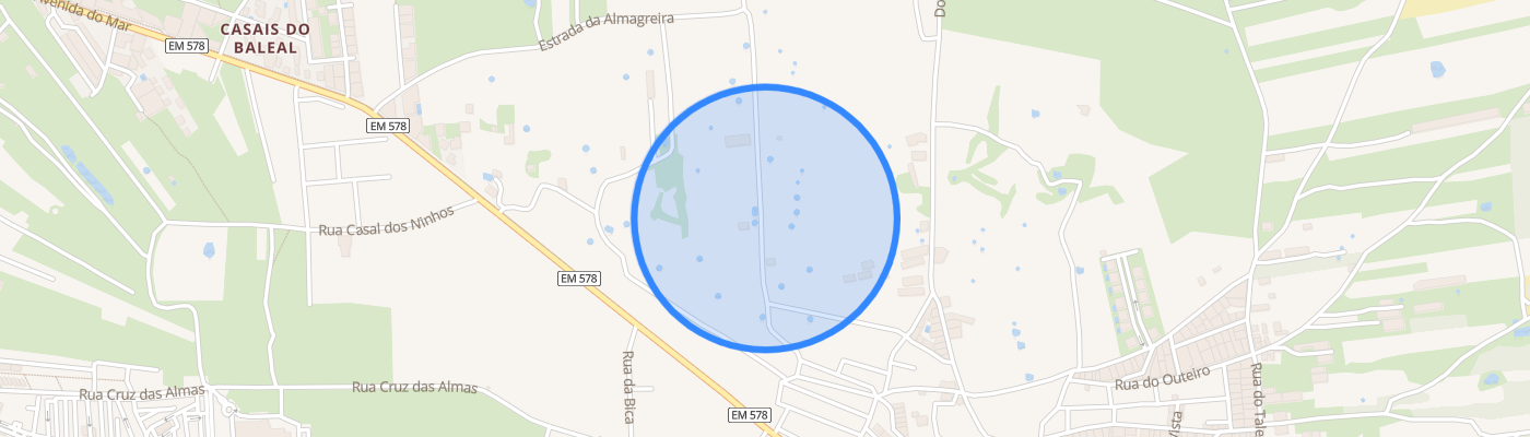 listing-map-picture
