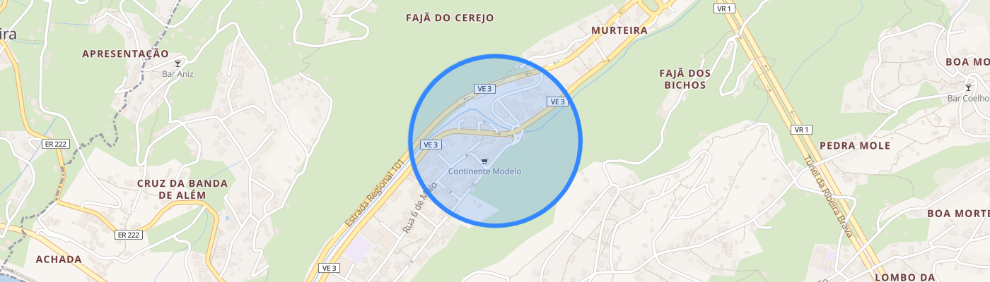 listing-map-picture