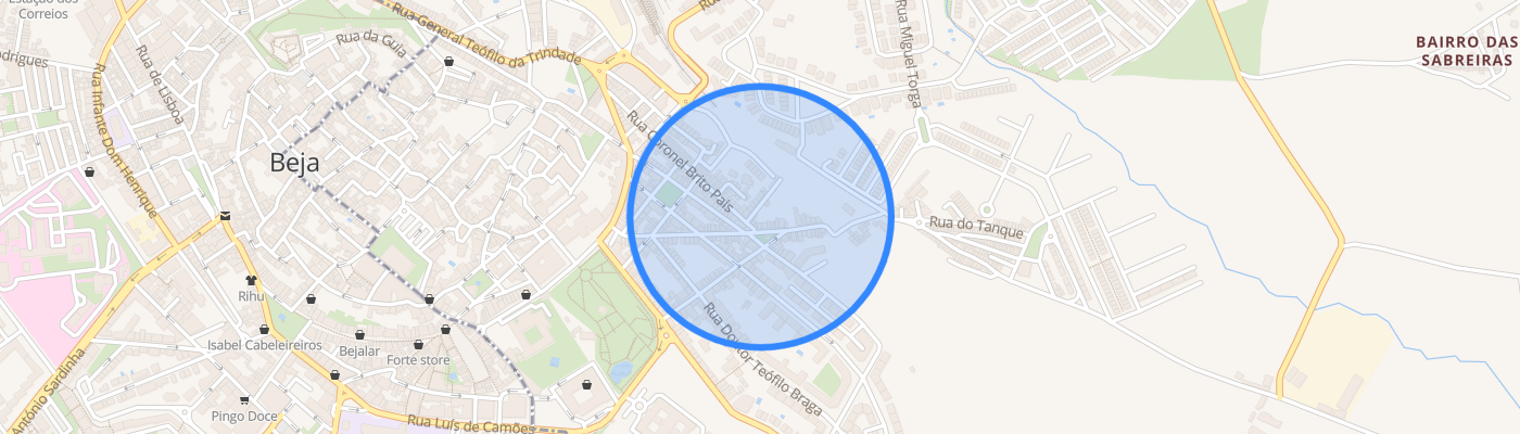 listing-map-picture