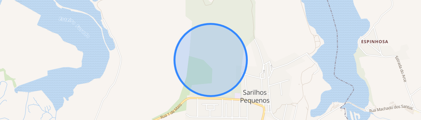 listing-map-picture