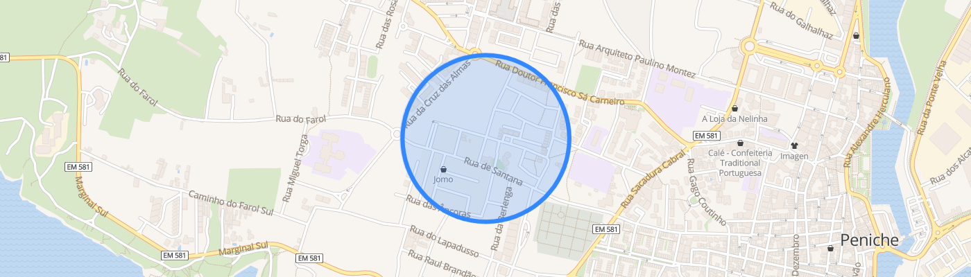 listing-map-picture
