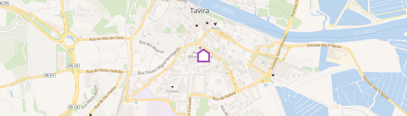 listing-map-picture