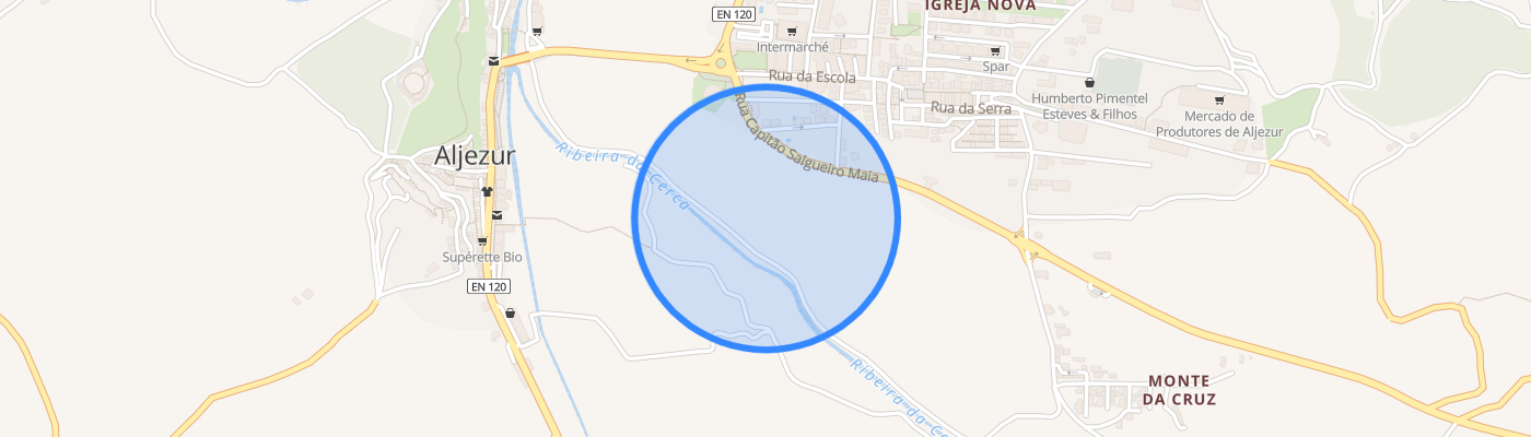 listing-map-picture