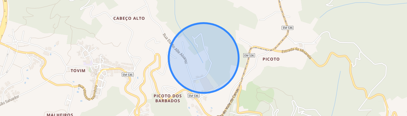 listing-map-picture