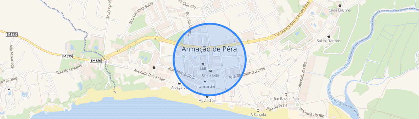 listing-map-picture