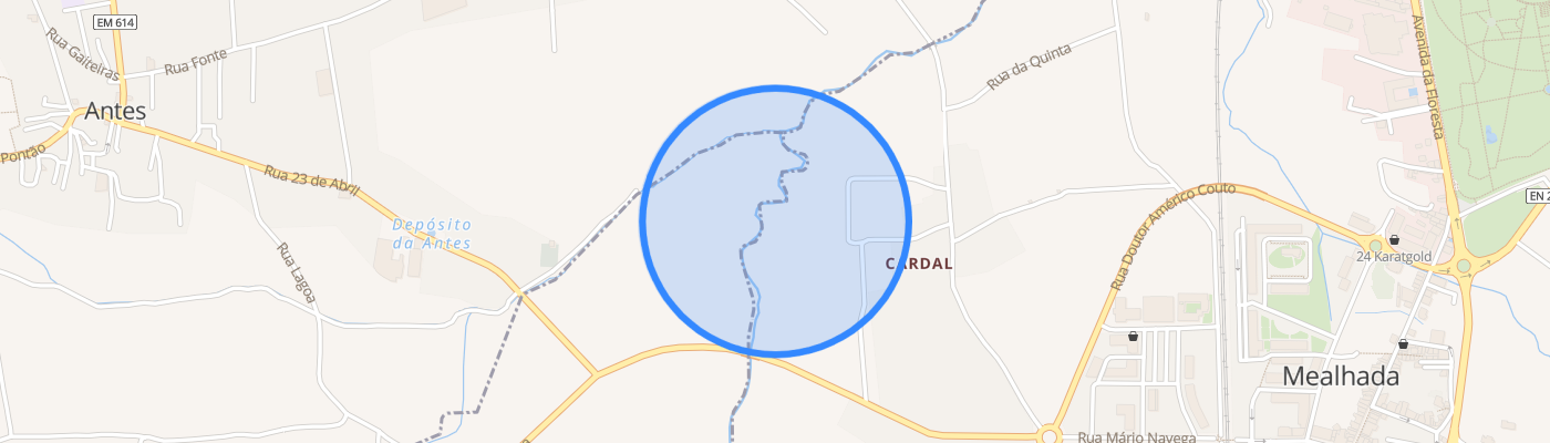 listing-map-picture