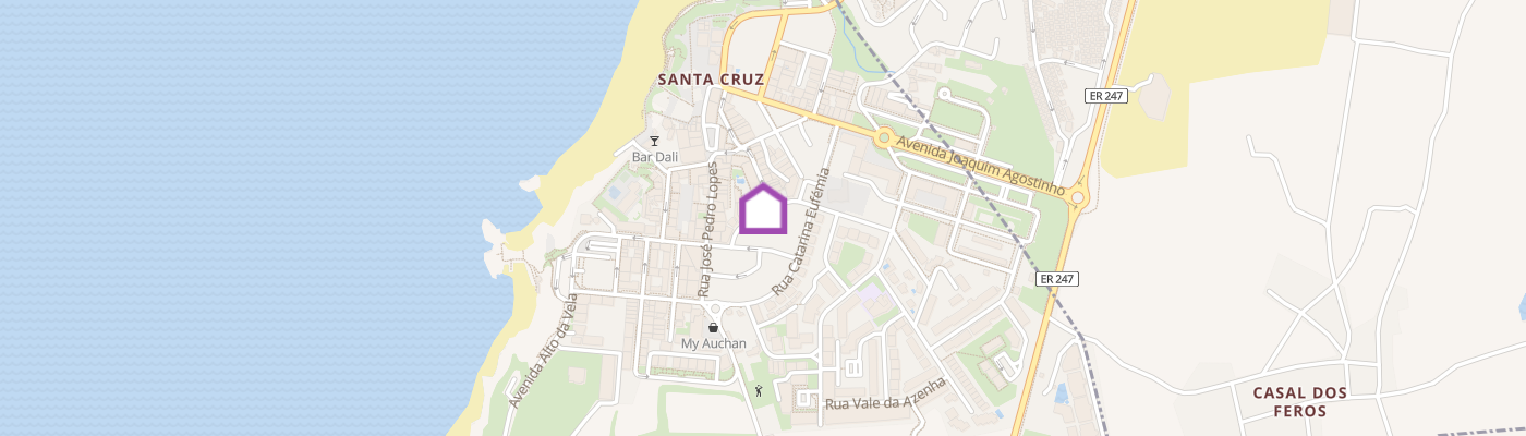 listing-map-picture