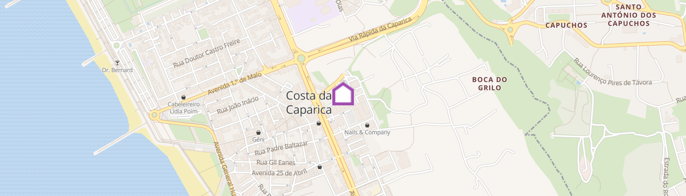 listing-map-picture