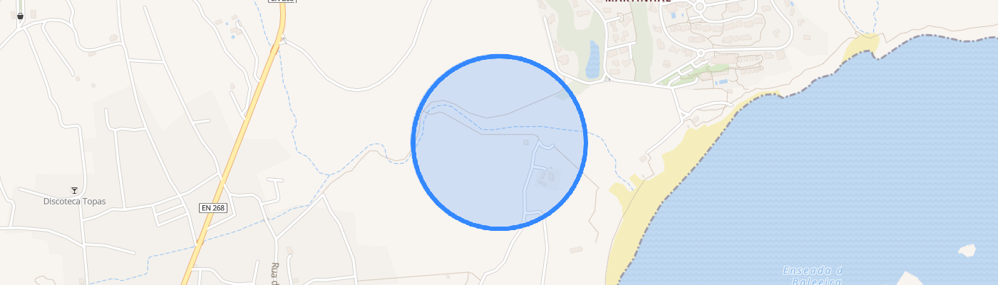 listing-map-picture