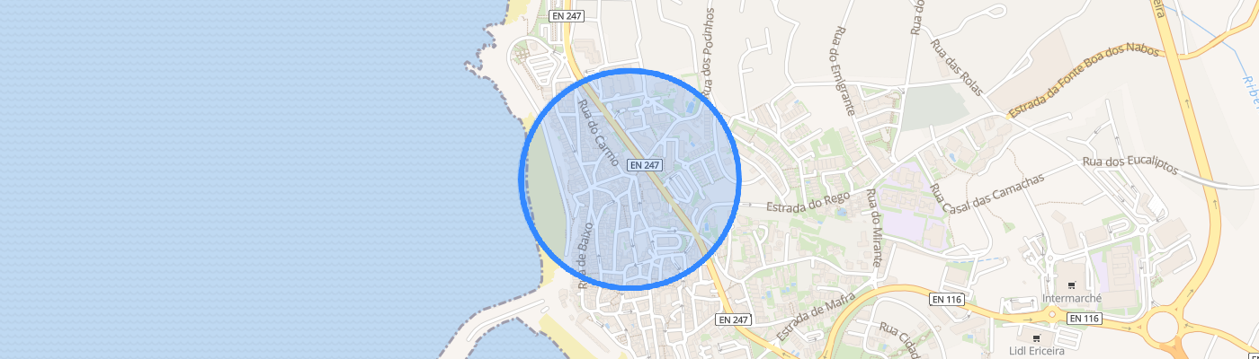 listing-map-picture