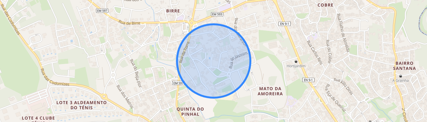listing-map-picture