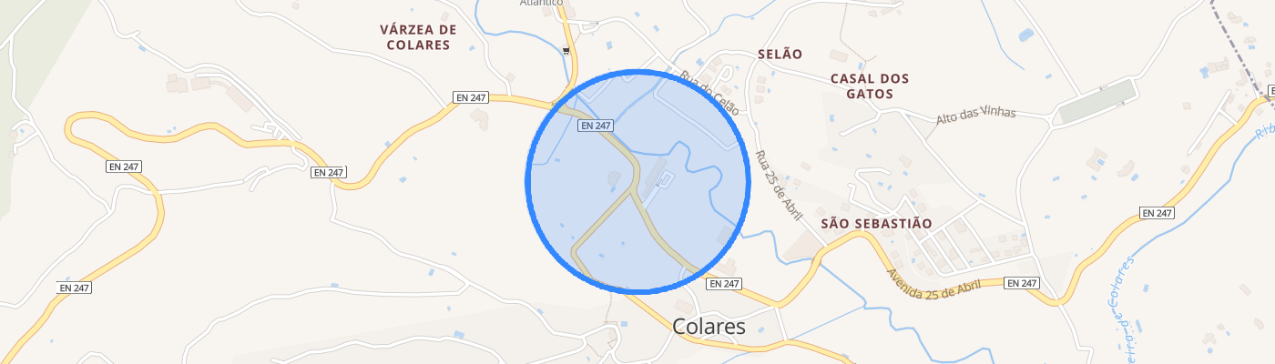listing-map-picture